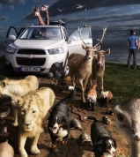 Vítězové národního kola soutěže Young, Creative, Chevrolet