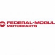 Personální změny ve vedení Federal-Mogul Motorparts